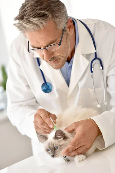 Hombre dando producto de inyección veterinaria —  Fotos de Stock