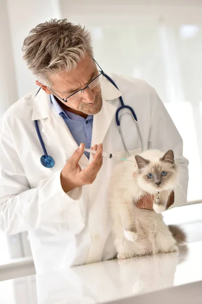 Veterinario che somministra Vaccino veterinario per iniezione — Foto Stock