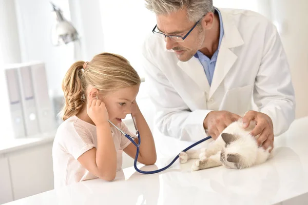 Ветеринар слушает кошачье сердцебиение — стоковое фото