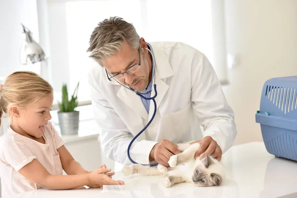 Veterinaria escucha al gato latido del corazón —  Fotos de Stock