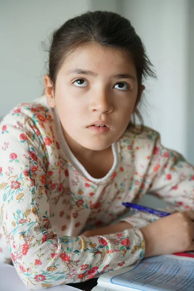 Menina fazendo lição de casa — Fotografia de Stock