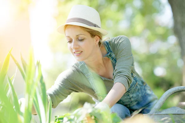 Žena s kloboukem zahradnictví na pracovní — Stock fotografie