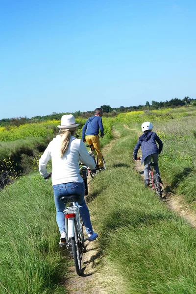 Сімейні велосипеди на заміській трасі — стокове фото