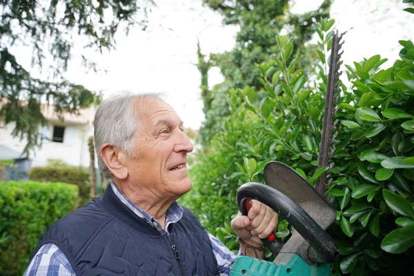 man using hedge trimmer