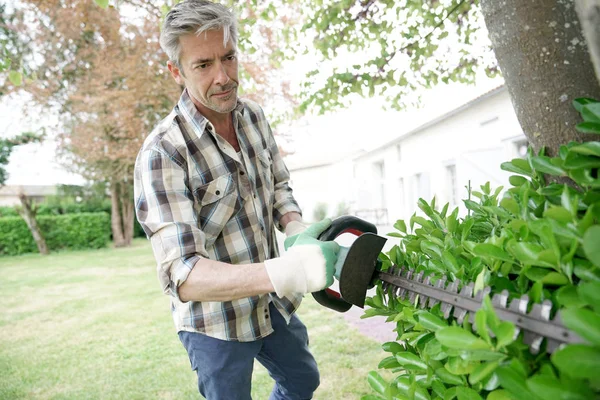 Man in garden trimming hedges — Stock Photo, Image
