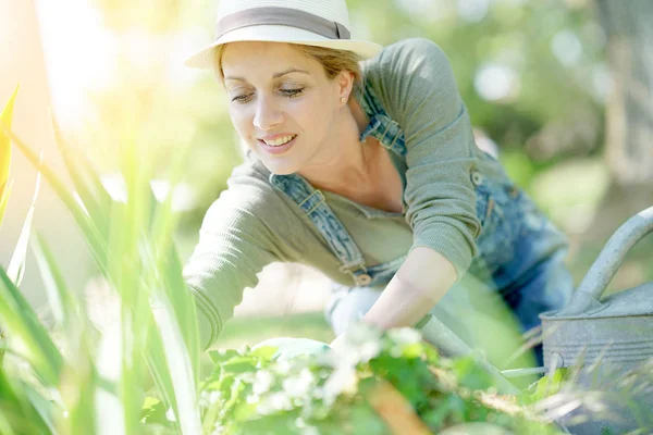 Donna con cappello giardinaggio sul lavoro — Foto Stock