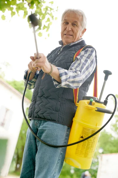 Hombre mayor en insecticida de pulverización de jardín Imagen de stock
