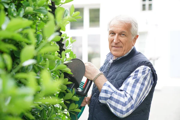 Man using hedge trimmer — Stock Photo, Image
