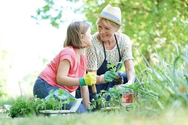 Mormor och barnbarn trädgårdsskötsel — Stockfoto