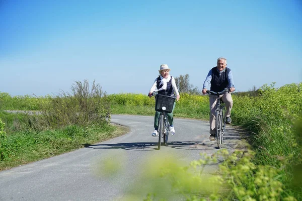 Старша пара їздить на велосипедах — стокове фото