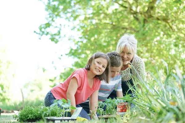 Senioren haben Spaß bei der Gartenarbeit — Stockfoto