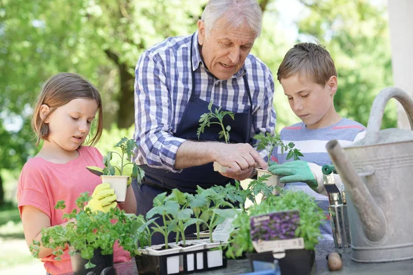 Les enfants aident grand-père — Photo