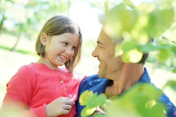 Daddy with girl looking at buds — Stock Photo, Image
