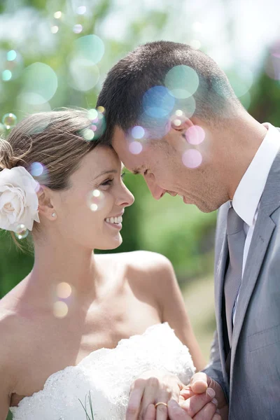 Menyasszony és a vőlegény nézett a szeme — Stock Fotó