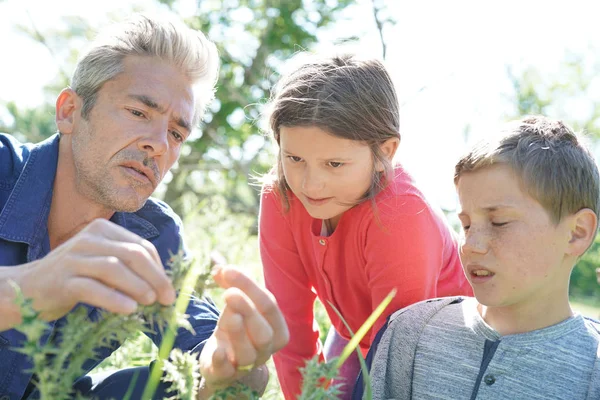 Father and children spending time in garde — Stock Photo, Image