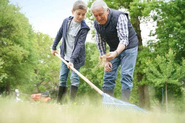 Дедушка с внуком убирает сад — стоковое фото