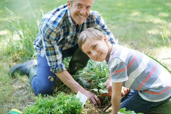 Pai ensinando filho como plantar — Fotografia de Stock