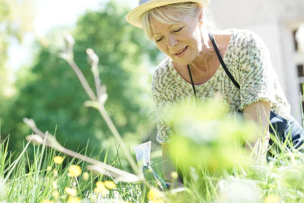 Vanhempi nainen puutarhanhoito — kuvapankkivalokuva