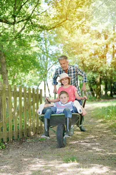 Papa chevauchant des enfants dans brouette — Photo