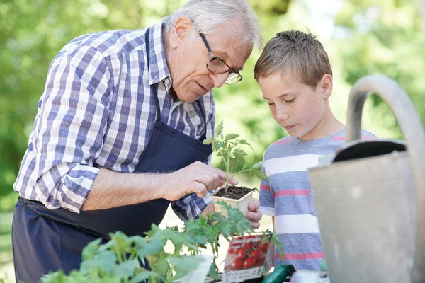 Nonno con nipote giardinaggio — Foto Stock