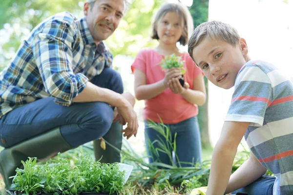 Crianças Ajudando Papai Com Jardinagem — Fotografia de Stock
