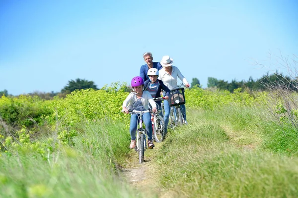 Glad familj ridning cyklar — Stockfoto