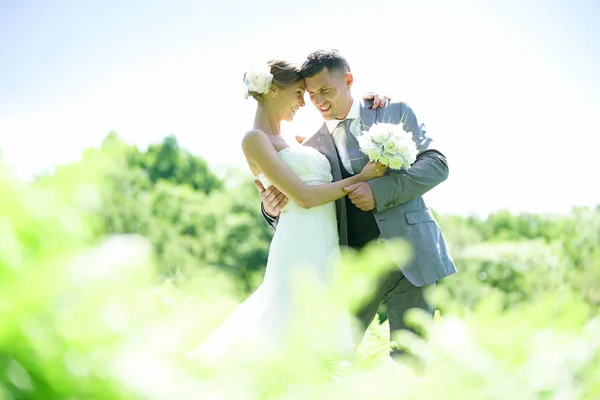 Novia y novio en el día de su boda — Foto de Stock