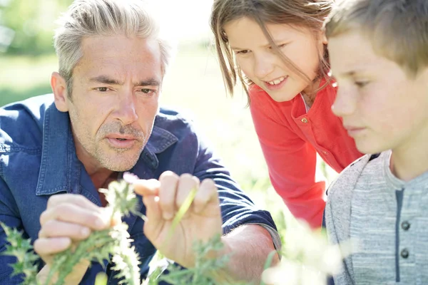 Человек с детьми изучает растительность — стоковое фото