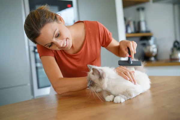 Mujer cepillando pelo de gato —  Fotos de Stock