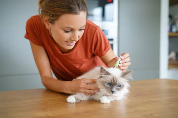 Frau injizierte Katze — Stockfoto