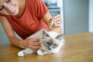 Kadın enjekte eden kedi