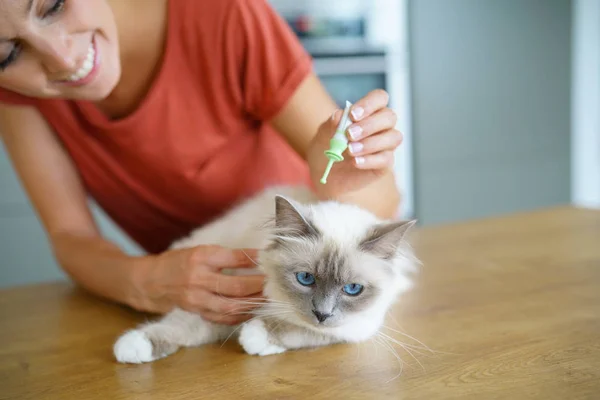 Frau injizierte Katze — Stockfoto