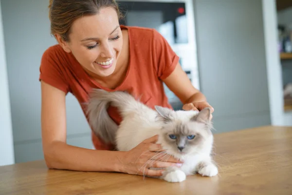 Femme brossant les cheveux du chat — Photo