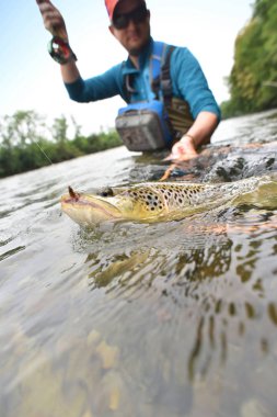  tarafından FlYFiShErMaN yakalanma alabalık