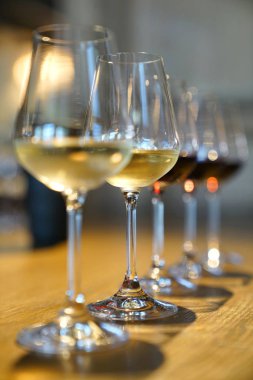 Güney Afrika şarap