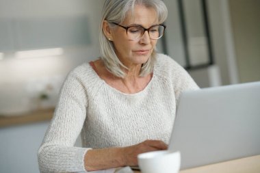 kadın websurfing dizüstü bilgisayar üzerinde