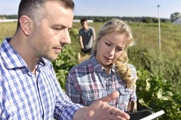 Instructor con aprendiz en el campo agrícola —  Fotos de Stock