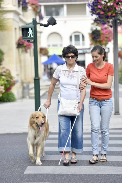 Vedoucí slepá žena přes ulici — Stock fotografie