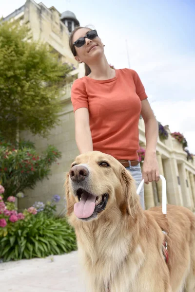 Frau streichelt ihren Blindenhund — Stockfoto