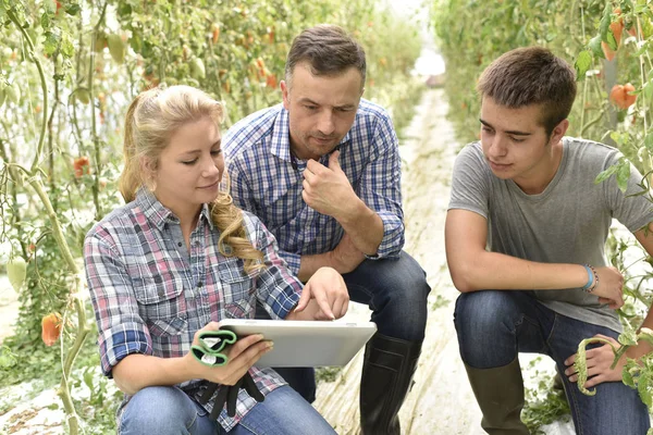 Studenters lärande om ekologiska växthuset — Stockfoto