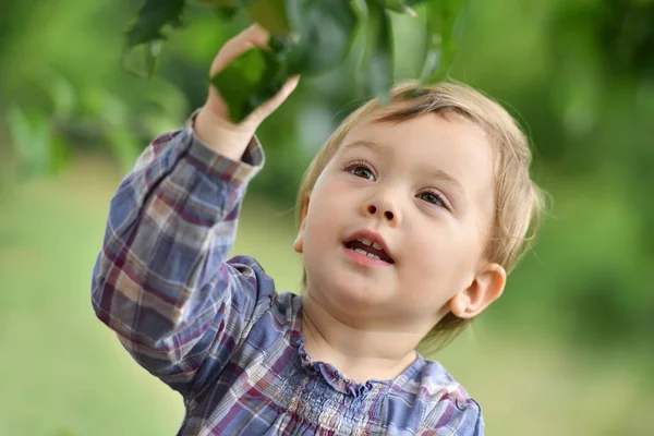  küçük kız yaprak toplama