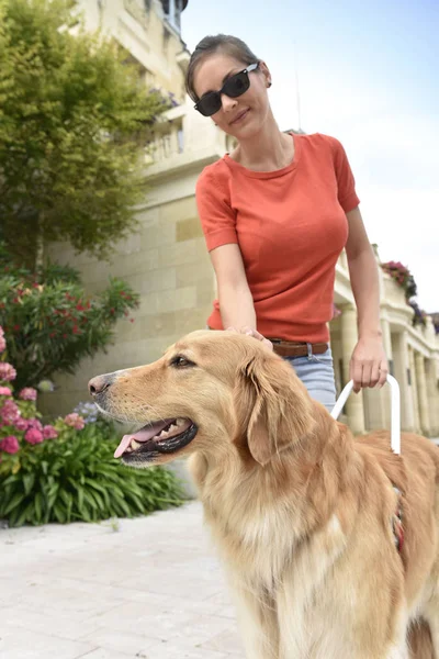 Vrouw haar geleidehond aaien — Stockfoto