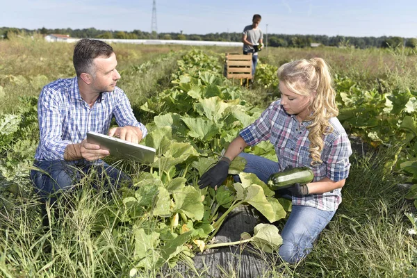 Mensen met instructeur in landbouwgebied — Stockfoto