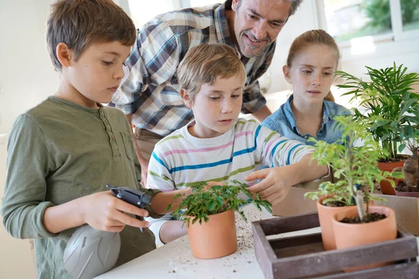 Insegnante con bambini su clas di biologia — Foto Stock