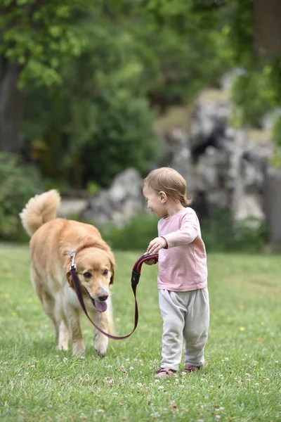 Bebé niña dando un paseo a perro — Foto de Stock