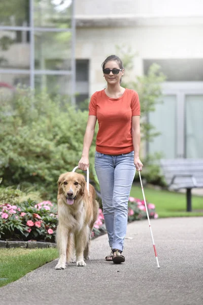 Woman walking in park with dog — Stock Photo, Image