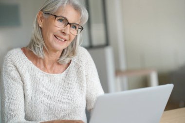 kadın websurfing dizüstü bilgisayar üzerinde