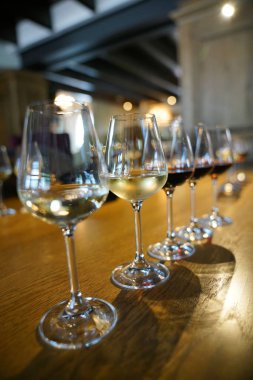 Güney Afrika şarap