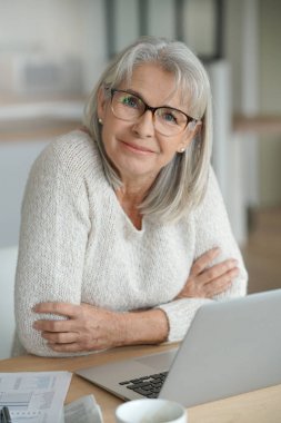 kadın websurfing dizüstü bilgisayar üzerinde