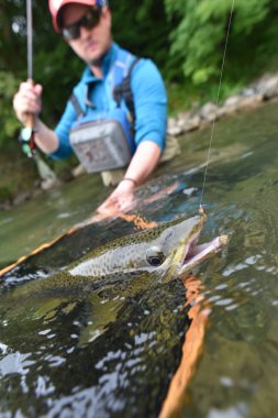  tarafından FlYFiShErMaN yakalanma alabalık